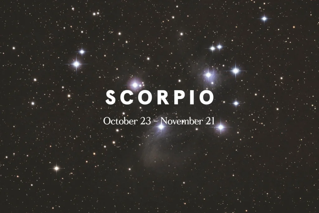 Scorpio Dec 19, 2025 Horoscope – Karmic Guidance Across Zodiac Signs