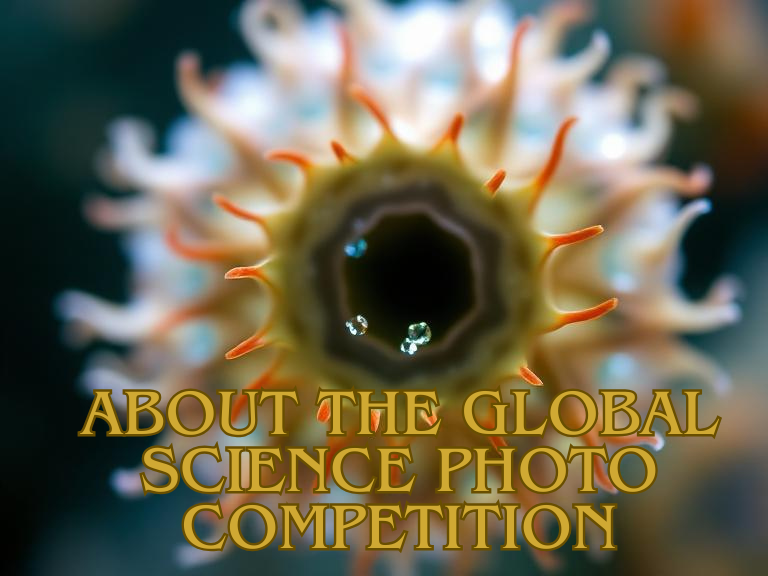A global competition celebrating the best in science photography.