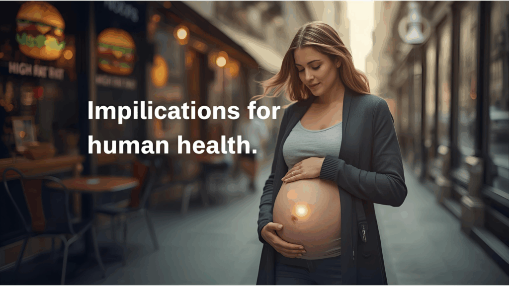 Pregnant woman walking near fast-food outlets, holding her belly, illustrating how prenatal exposure to high-fat foods may impact human health.
