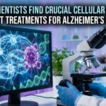 Indian researchers discover a key cellular mechanism with potential for Alzheimer’s and cancer therapies.