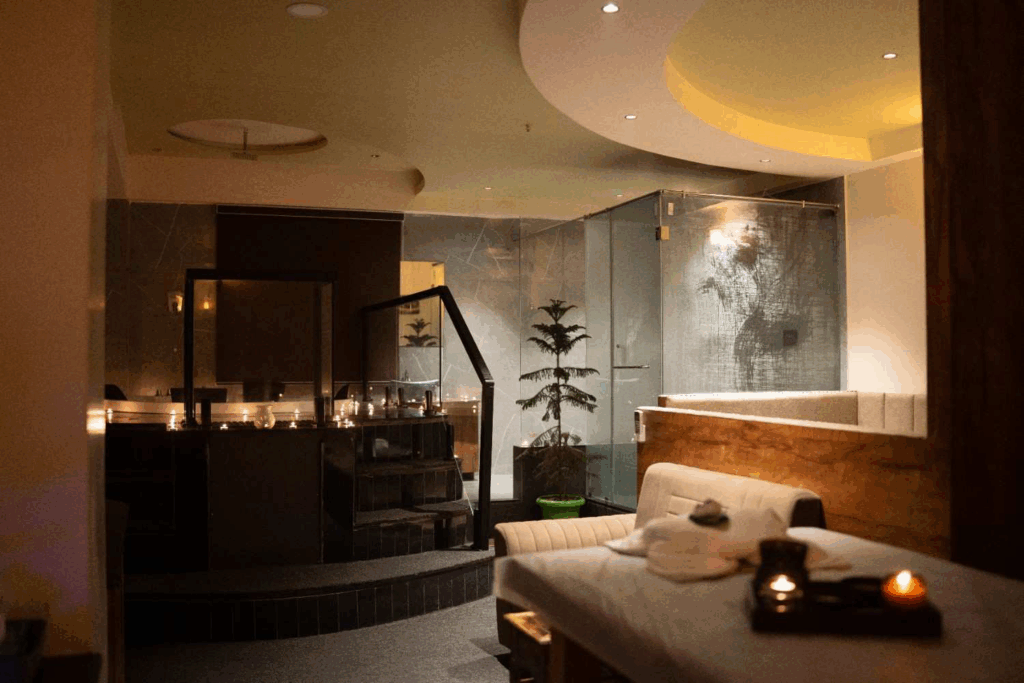 vedic premium spa gandhinagar