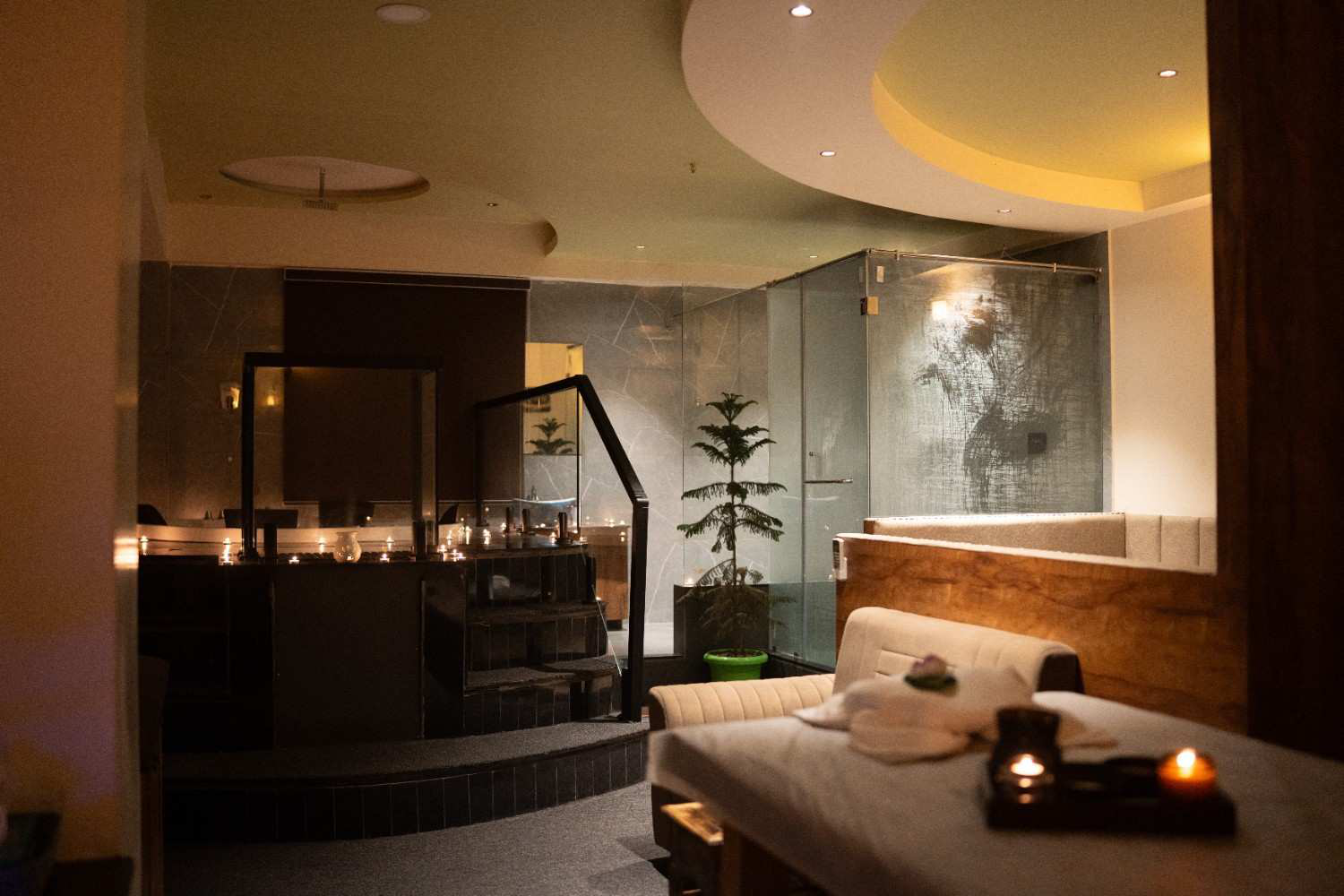 vedic premium spa gandhinagar